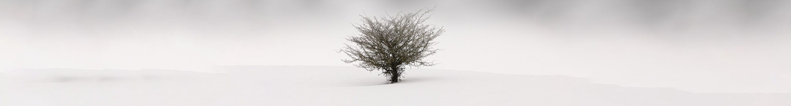 我要吃肉肉_的個人主頁（封面預覽） - 主頁封面設置 - 站酷設計師我要吃肉肉_原創(chuàng)素材 - 站酷ZCOOL