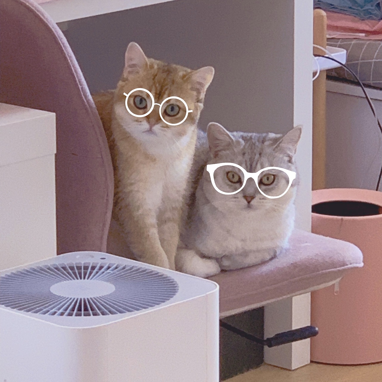 【我家猫不是喵】大傻Ni和卖萌Miu（图ZMjQyMjc1Nzg4） - 商业插画 - 站酷设计师福阿包原创素材 - 站酷ZCOOL