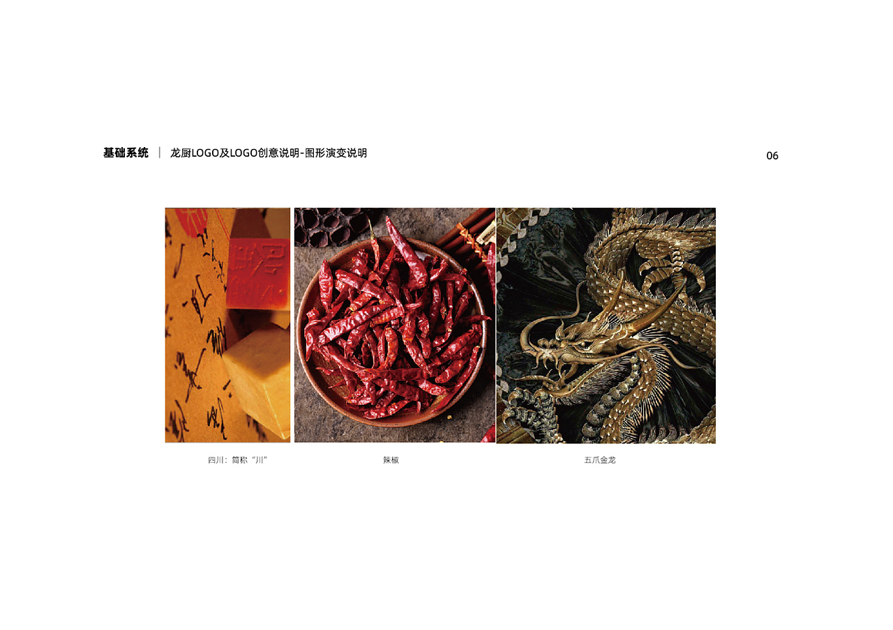 龙厨VI手册设计