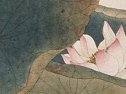 中式水墨荷花手绘插画