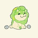 我好菜阿的头像