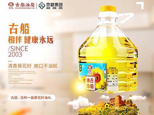 古船项目提案飞机稿稿