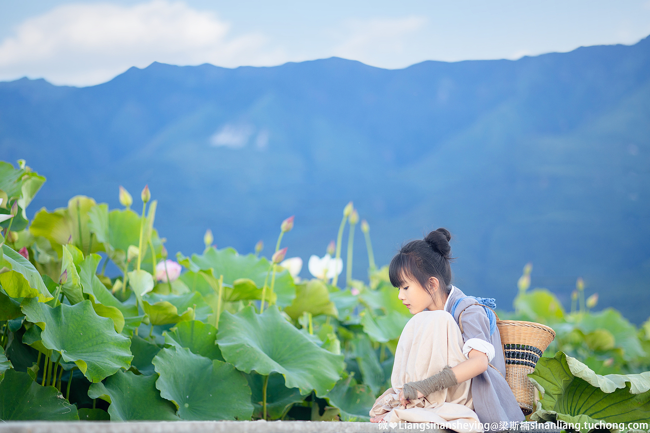 夏荷（图ZMjYyNzk2NjY0） - 人像摄影 - 站酷设计师梁斯楠原创素材 - 站酷ZCOOL