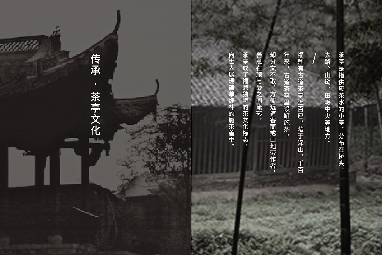 白茶品牌 TMS太姥山（图ZMTM0ODk3Mzgw） - 品牌 - 站酷设计师正杨品牌咨询MUAD原创素材 - 站酷ZCOOL