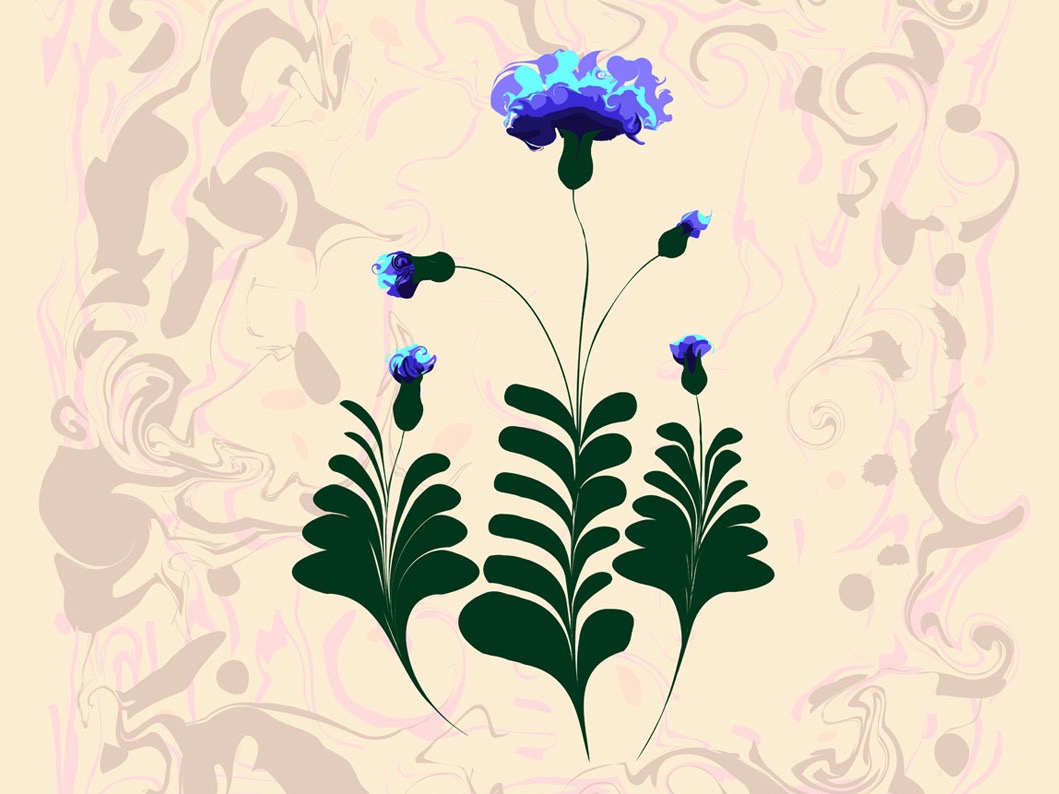 数码 Ebru 