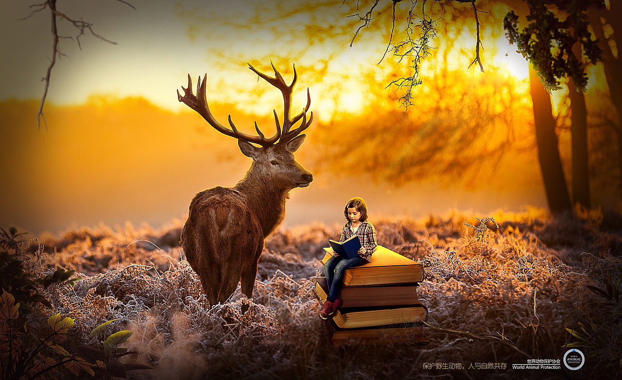 动物与人和谐相处创意海报