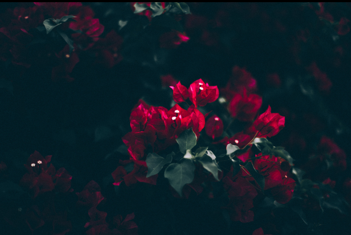 _NiKi的個(gè)人主頁(yè)（封面預(yù)覽） - 主頁(yè)封面設(shè)置 - 站酷設(shè)計(jì)師_NiKi原創(chuàng)素材 - 站酷ZCOOL