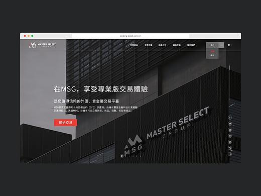 MSG网站设计 部分