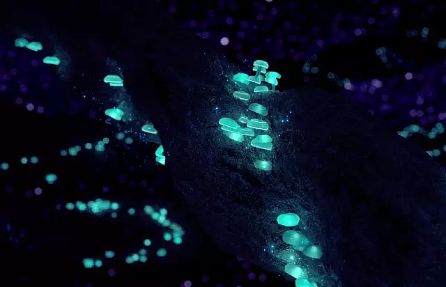 看！ UNIVERSE · 宇宙视觉设计！（图ZMTY2NTQxNjY0） - 其他平面 - 站酷设计师SUIVERSE宇宙视觉原创素材 - 站酷ZCOOL