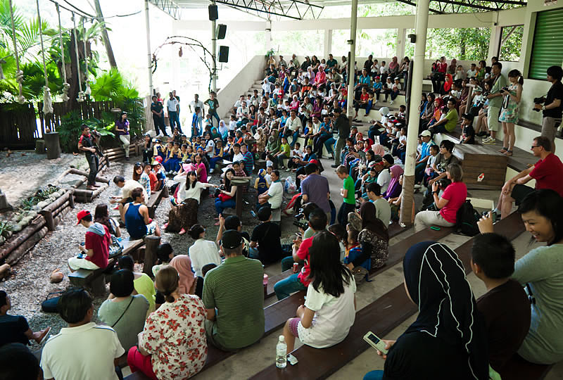 胶卷摄影_沙巴_丛林深处城市之间_4day