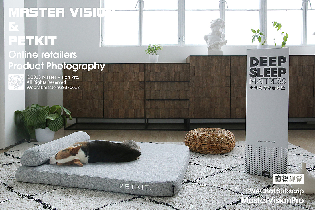 宠物居家智能穿戴产品|家居场景摄影【上海魔摄视觉】