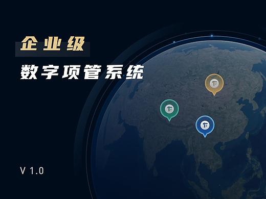 企业级项管系统