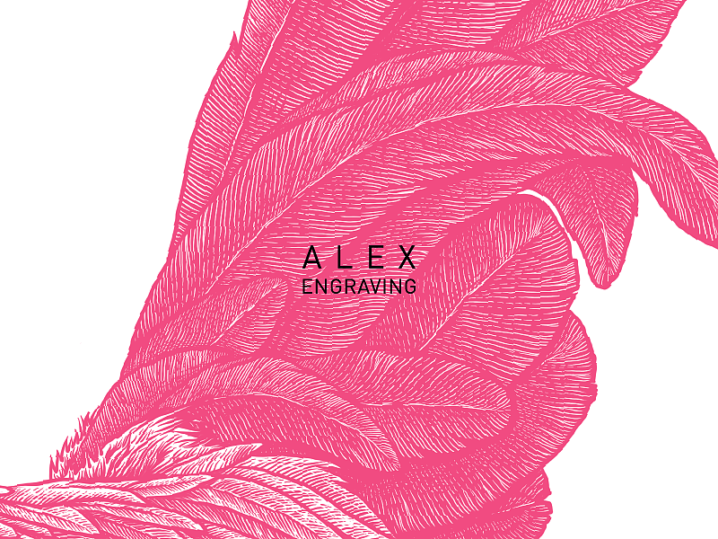 版画 - 鸡（图ZMTExNTQ2NDgw） - 商业插画 - 站酷设计师花椒的Alex原创素材 - 站酷ZCOOL