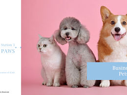 設計管理項目-大學中寵物療法的概念設計