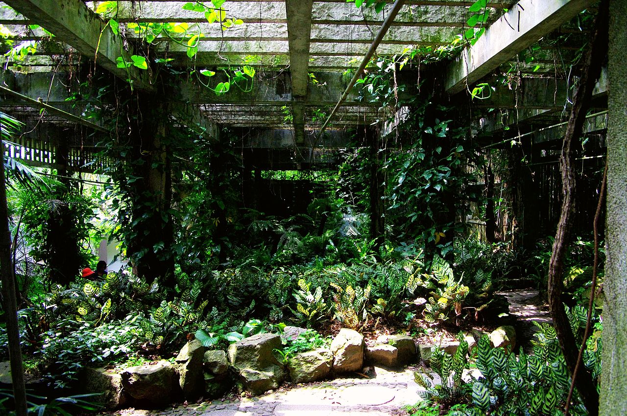 綠（圖ZNDg4MzY3OTI=） - 風(fēng)光攝影 - 站酷設(shè)計(jì)師特大號(hào)小米蟲原創(chuàng)素材 - 站酷ZCOOL