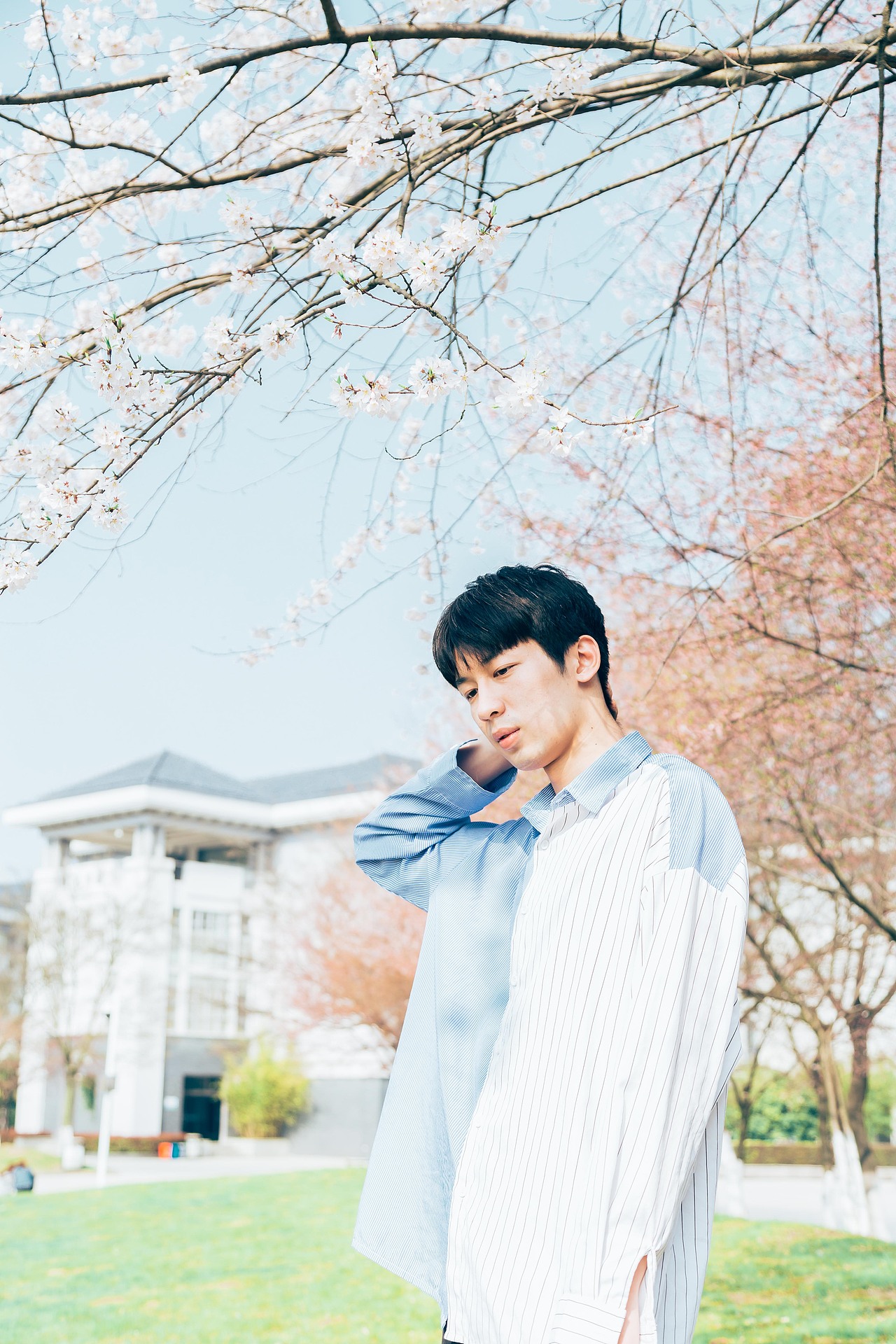 「 3月22日 星期五 晴天 」