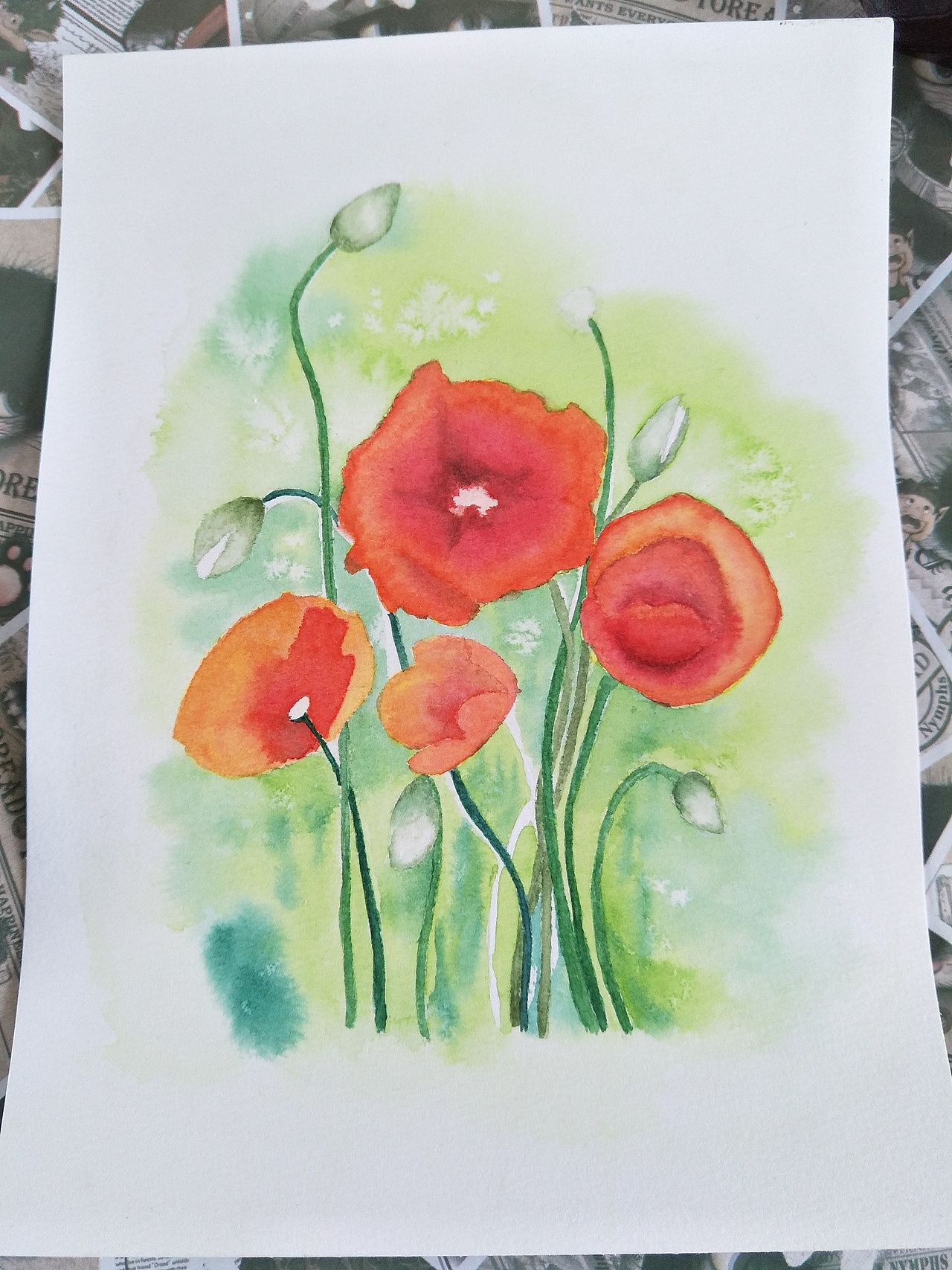 罂粟花（图ZMTI5NDcwODk2） - 创作习作 - 站酷设计师a萱草无忧a原创素材 - 站酷ZCOOL