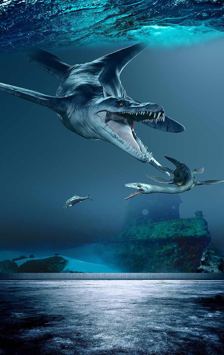 750_1188竖版 竖屏