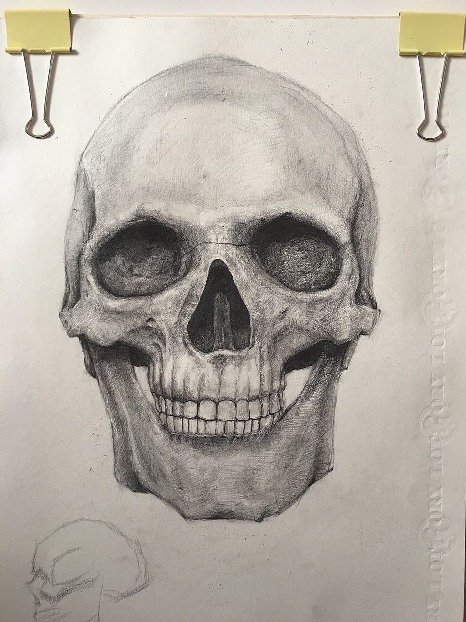 骷髅头(素描)