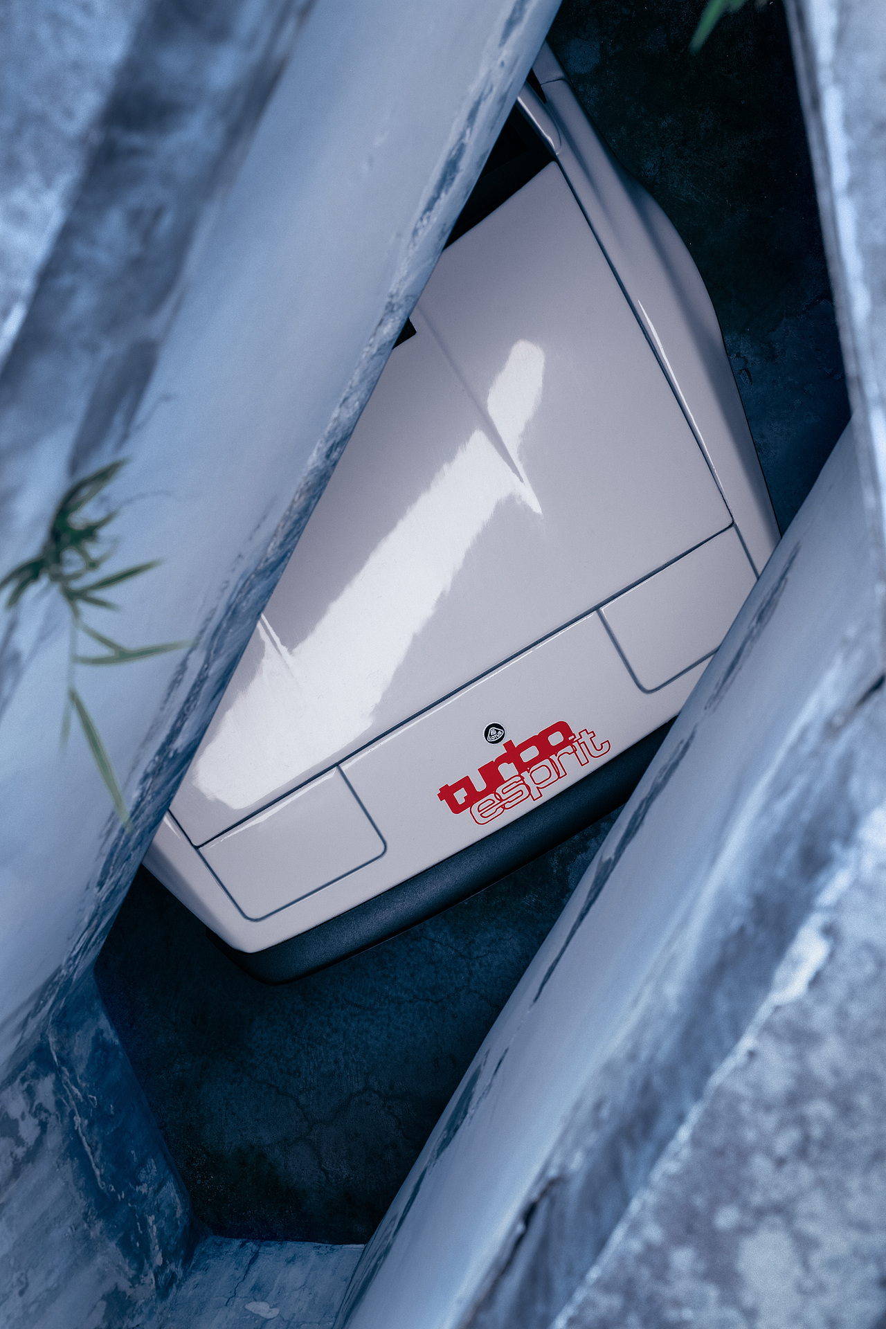 爱莲说-On the love of Lotus（图ZMjgyMTI1MTc2） - 修图/后期 - 站酷设计师AngeloStarlaZ原创素材 - 站酷ZCOOL