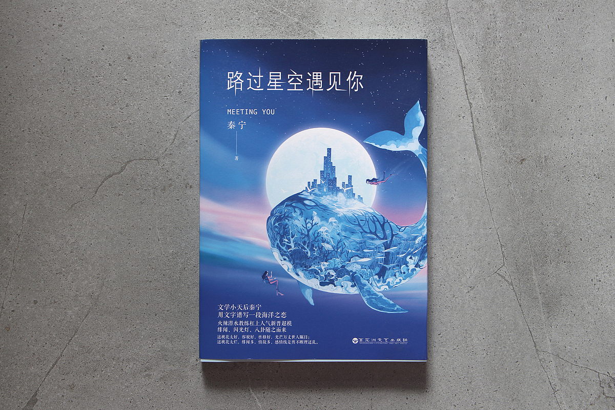 一些封面商稿（图ZMTI5NTMxMjM2） - 商业插画 - 站酷设计师starry阿星原创素材 - 站酷ZCOOL