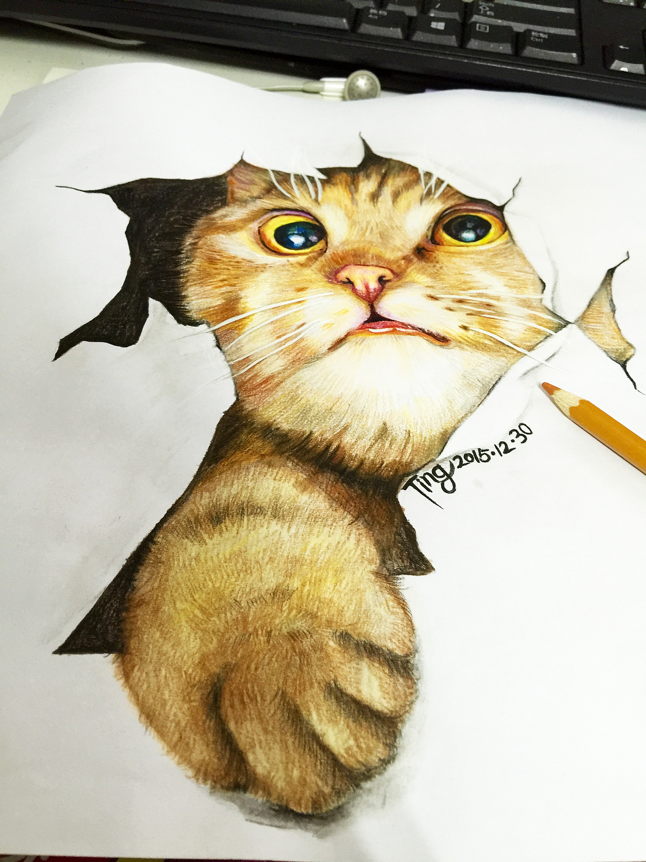 彩铅猫咪（图ZMzk3Mzk1OTY=） - 绘画 - 站酷设计师粉沫亭亭原创素材 - 站酷ZCOOL