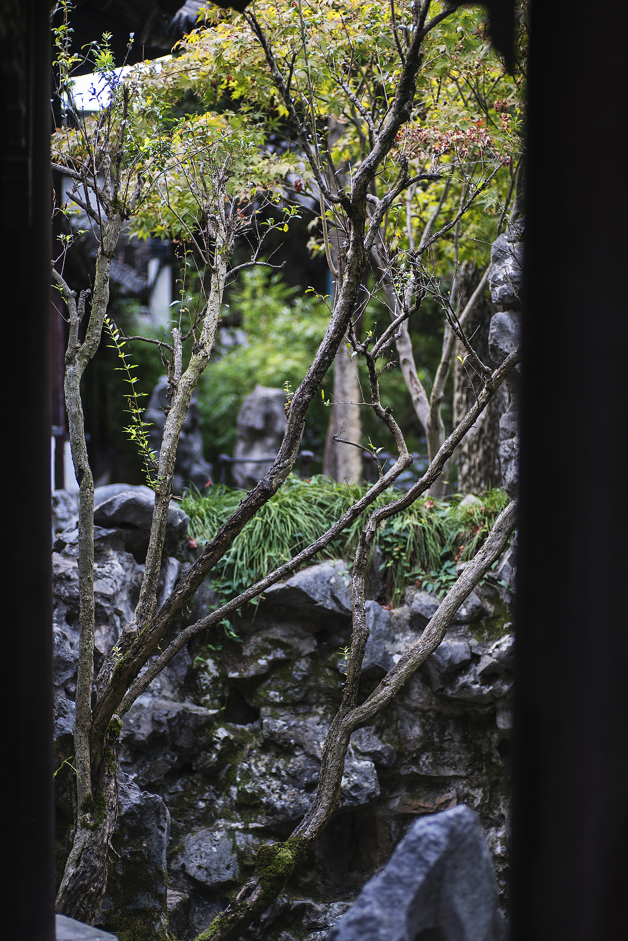 游狮子林记（图ZMTgwNzg0NTAw） - 风光摄影 - 站酷设计师ROCKYVISION18原创素材 - 站酷ZCOOL