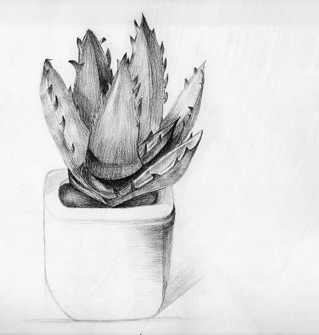 -自由-手 绘 H U A 练习（图ZMjAyNDE5OTgw） - 艺术插画 - 站酷设计师南希258原创素材 - 站酷ZCOOL