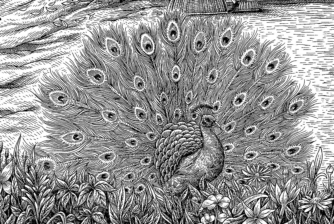 《七彩云南茶》手绘作品