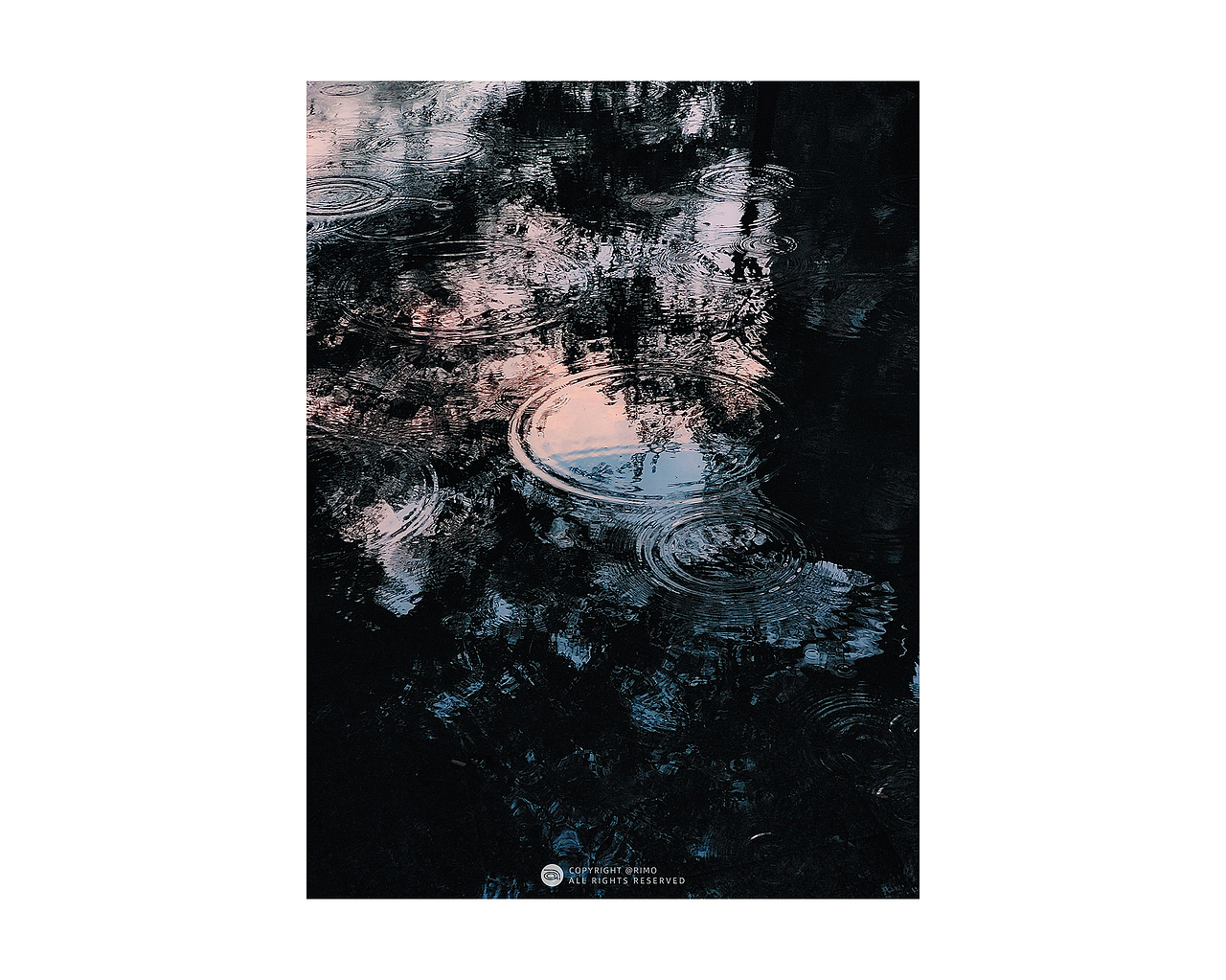 2021 | 手机摄影年终总结