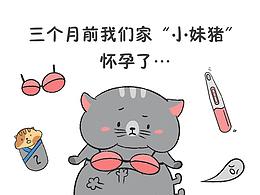 貓咪生產(chǎn)觀察日記