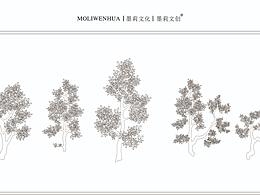 六堡茶