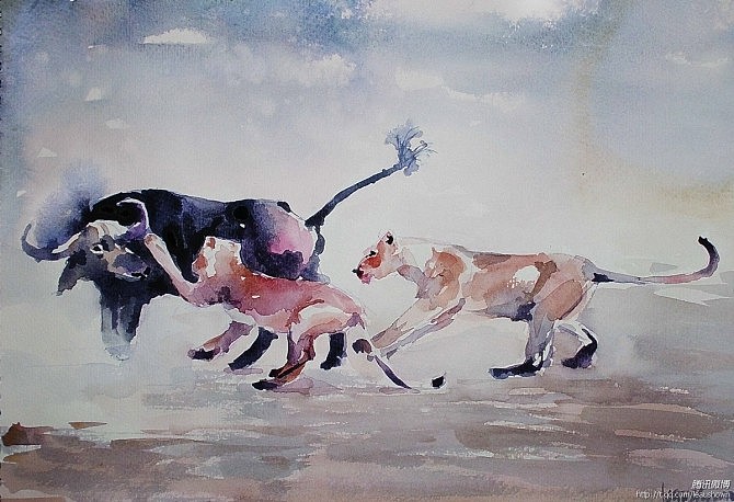 猫科动物练习（图ZNTQ5MzM1NDQ=） - 创作习作 - 站酷设计师leaushown原创素材 - 站酷ZCOOL