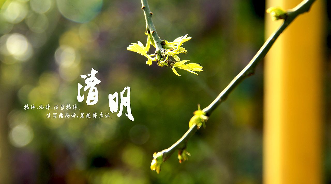 大桥下的石头（图ZODkzMzk2MA==） - 风光摄影 - 站酷设计师半道子原创素材 - 站酷ZCOOL