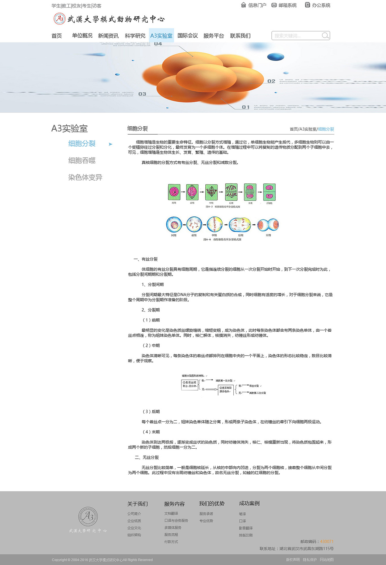企业站（图ZNzYzNjUyMDA=） - 企业官网 - 站酷设计师qianxi0824原创素材 - 站酷ZCOOL
