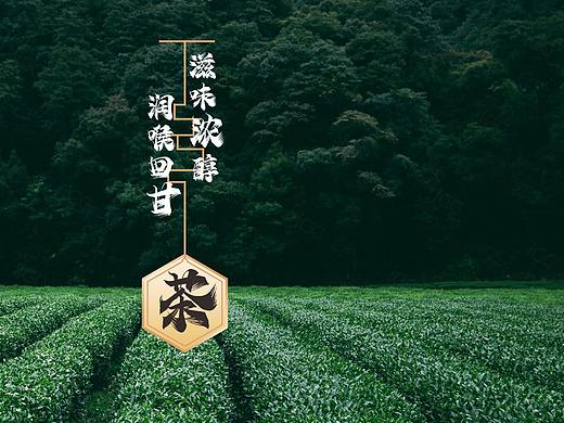 包装设计 | 凤凰单丛茶