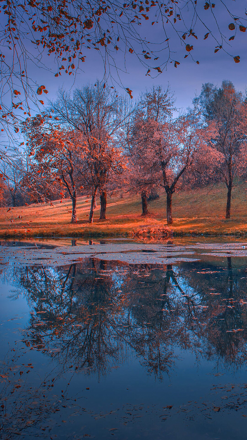 秋天_景致唯美-站酷zcool