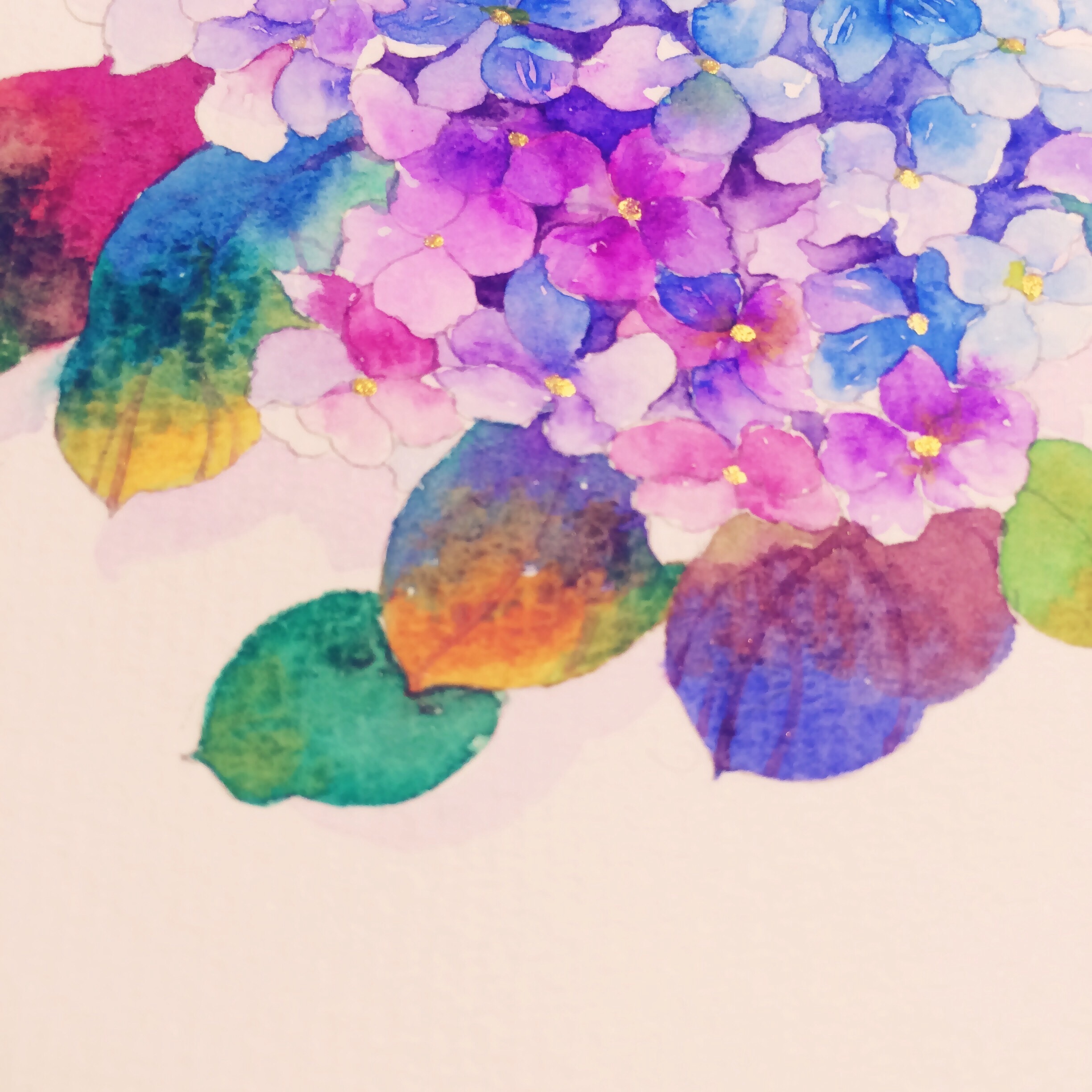 水彩绣球|插画|商业插画|百鬼君 - 原创作品 - 站酷 (zcool)