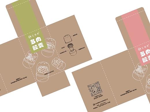 多肉植物胶囊包装（个人主页-ZMzA0NDk0MDg=） - 包装 - 站酷设计师一窝时光王飘飘原创素材 - 站酷ZCOOL