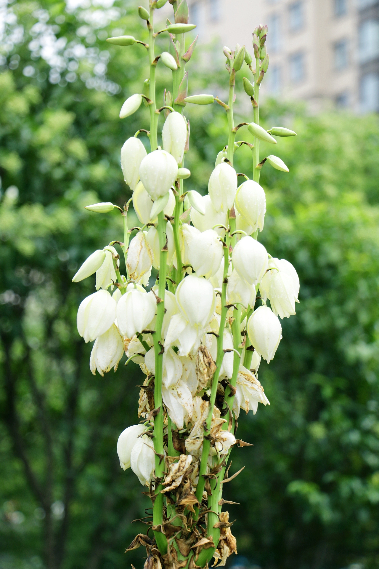 摄影（图ZMTc3NDUxNTU2） - 风光摄影 - 站酷设计师是星辰大海呀原创素材 - 站酷ZCOOL