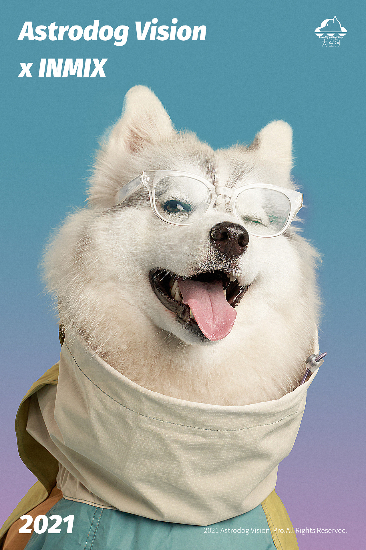 时尚跨界宠物摄影海外形象片拍摄