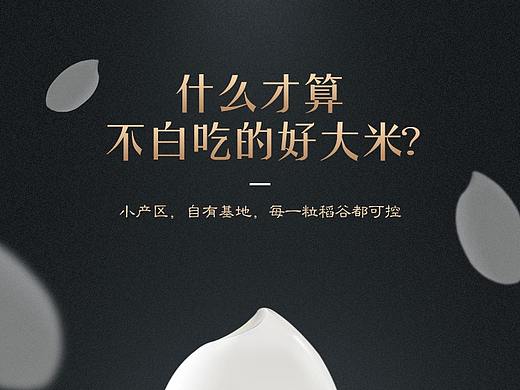 食品-共生大米详情页设计