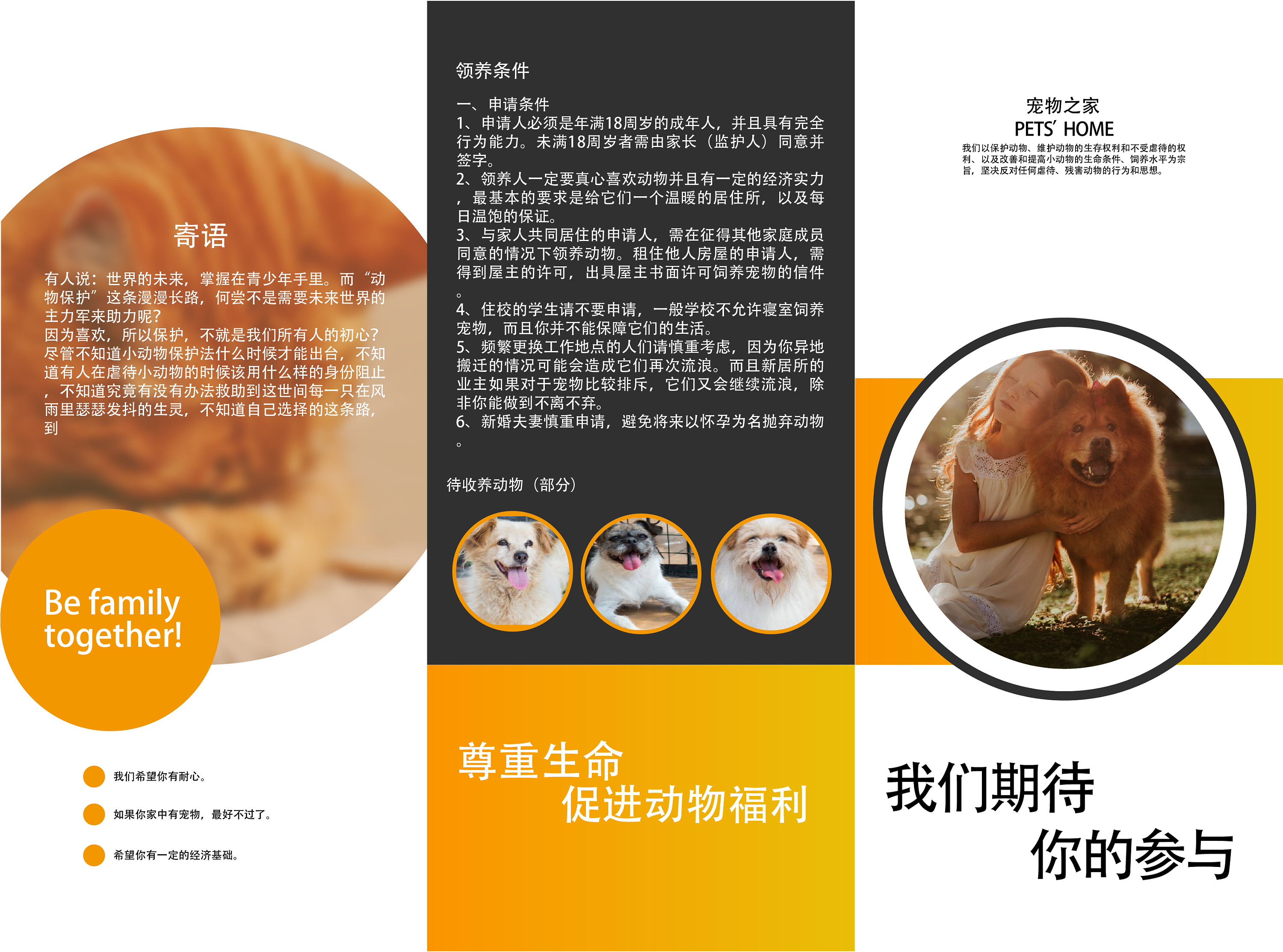 关于宠物的三折页设计|平面|宣传品|球球2324 - 原创作品 - 站酷