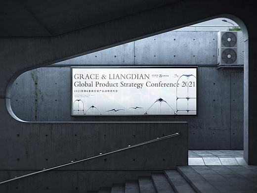 丽雅&量典全域产品战略发布会-飞机