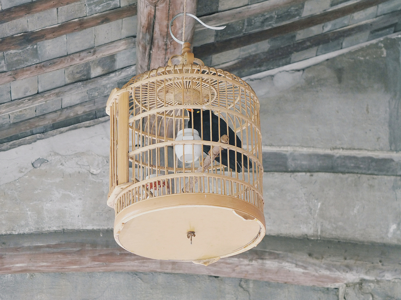 南浔古镇两日游