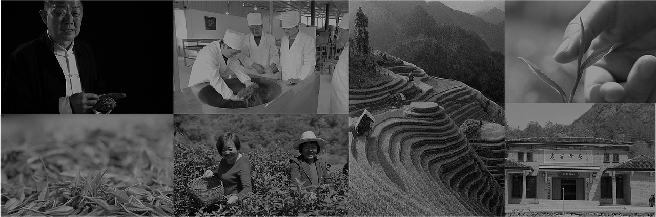 先政传茗非遗茶叶包装设计（图ZMjM1MDQzODcy） - 包装 - 站酷设计师郑万兴原创素材 - 站酷ZCOOL