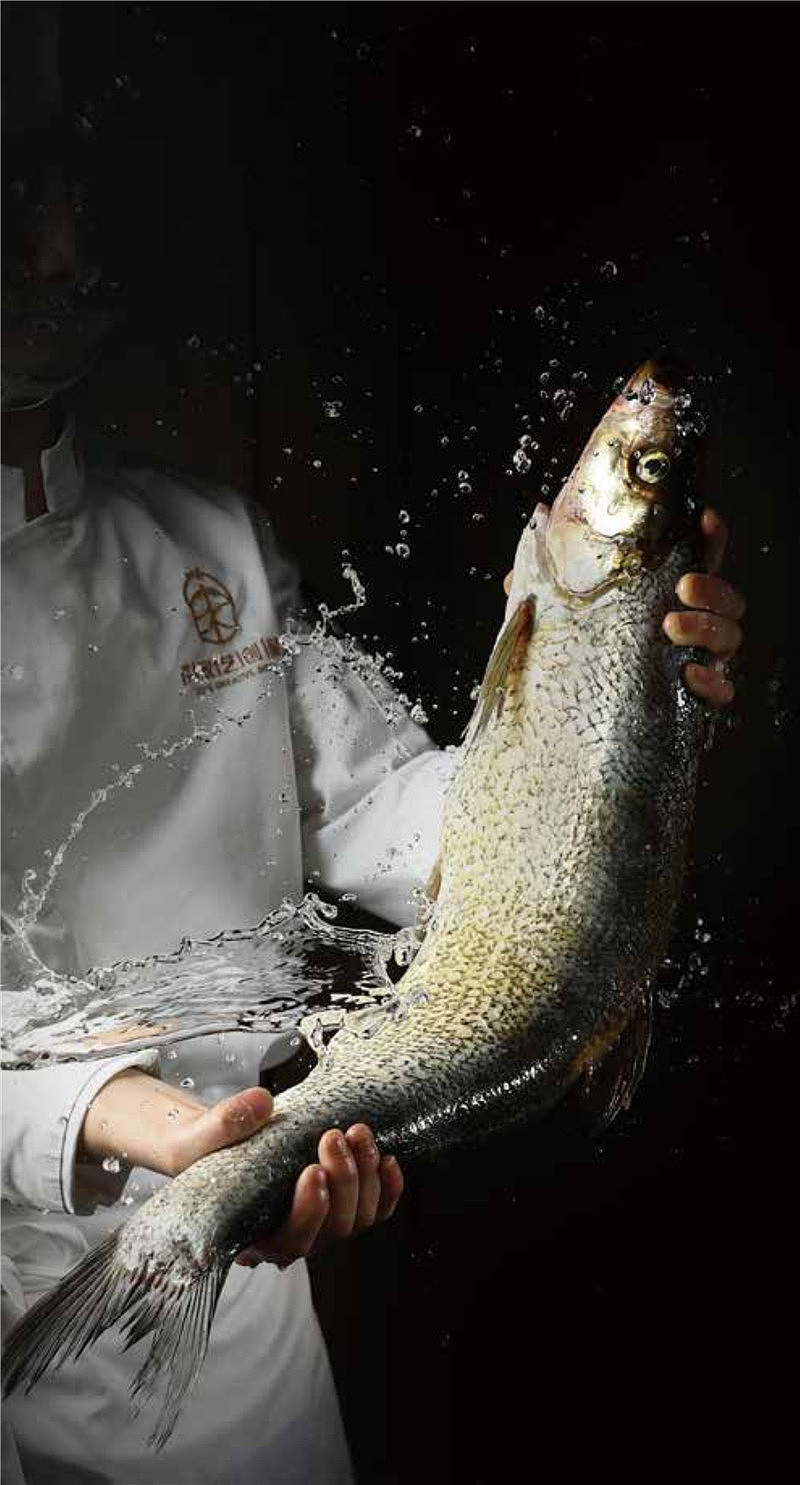 各大外卖平台专属商家的菜谱美食拍摄摄影图片(精选)