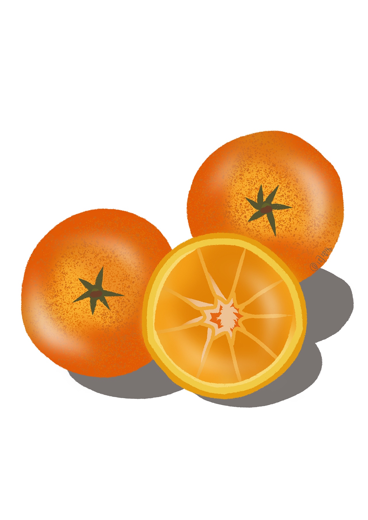 练习作品/水果系列