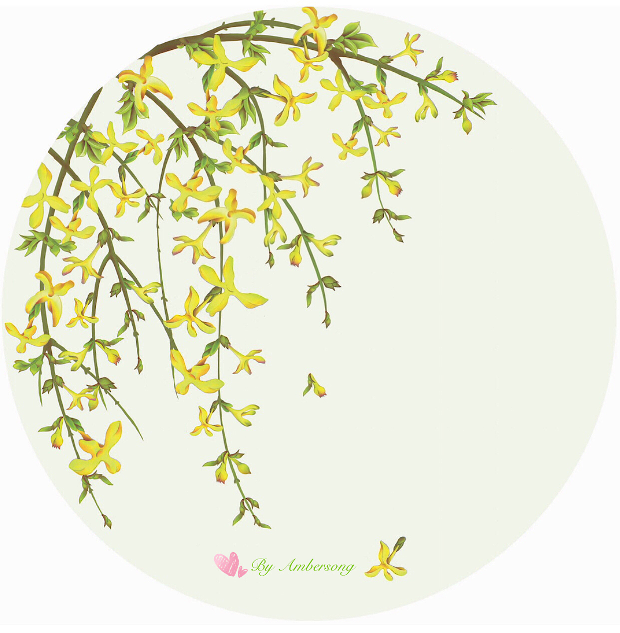 迎春花|插画|商业插画|amber的小鱼干_原创作品-站酷zcool