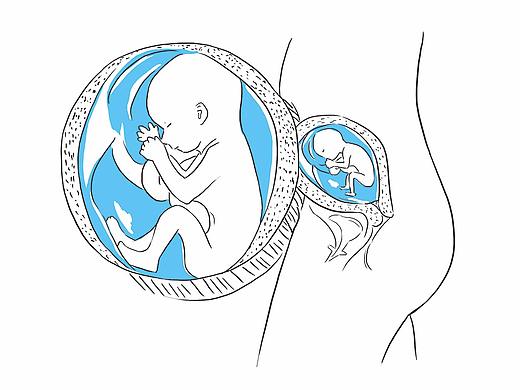 孕妇书籍插图